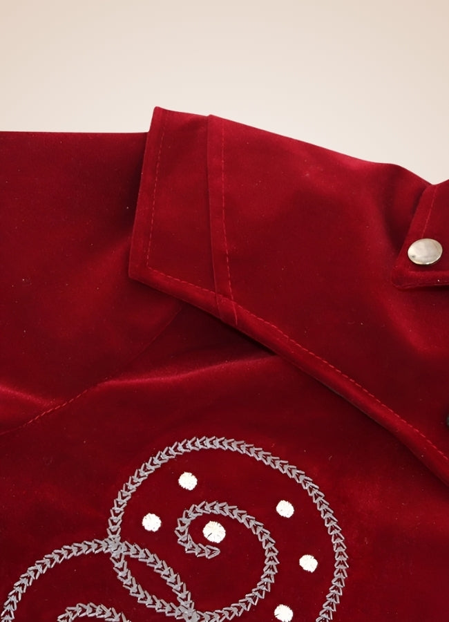 Embroidered Steampunk Frock Coat UK